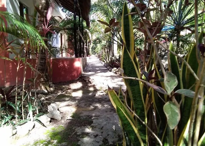 Casa De Las Tortugas I Tour Akumal