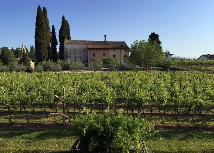Parco Termale Di Villa Dei Cedri