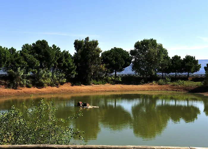 Popilia Country Resort