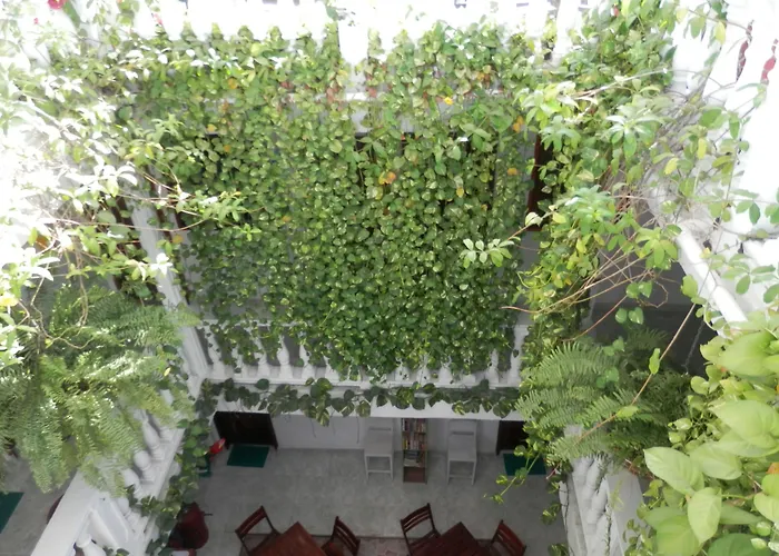 Patio De Getsemani