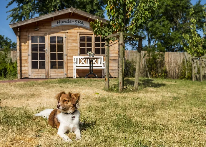 Hotel Pharisäerhof - DAS Hundehotel auf Nordstrand mit Restaurant und Café