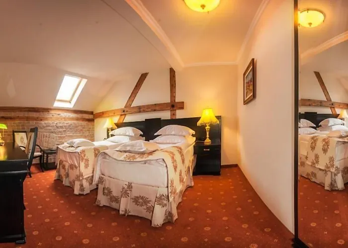 Hotel Central Park Sighisoara