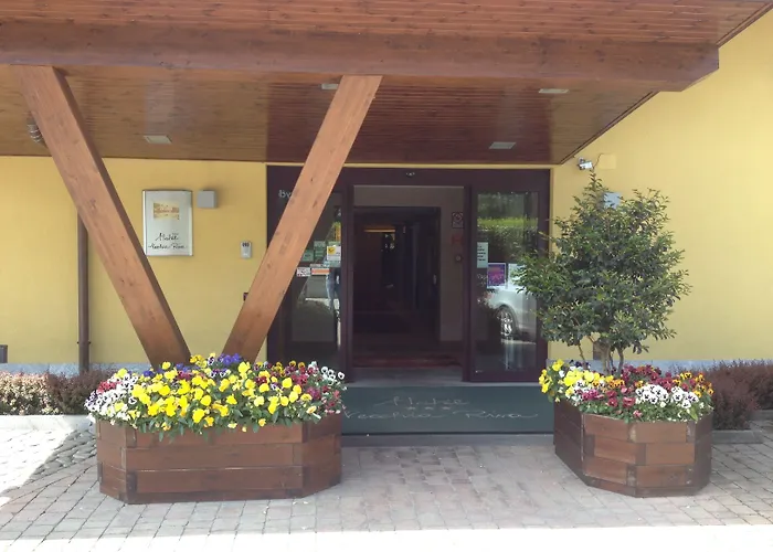 Hotel Ristorante Vecchia Riva
