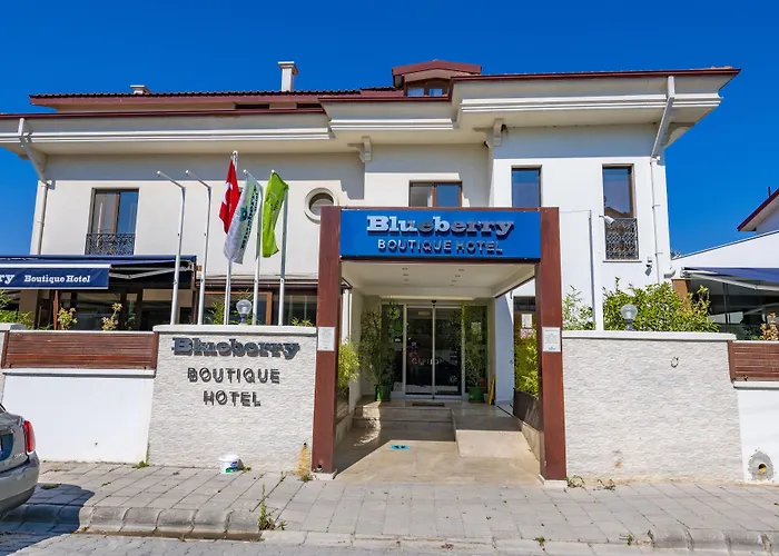 Blueberry Boutique Hotel