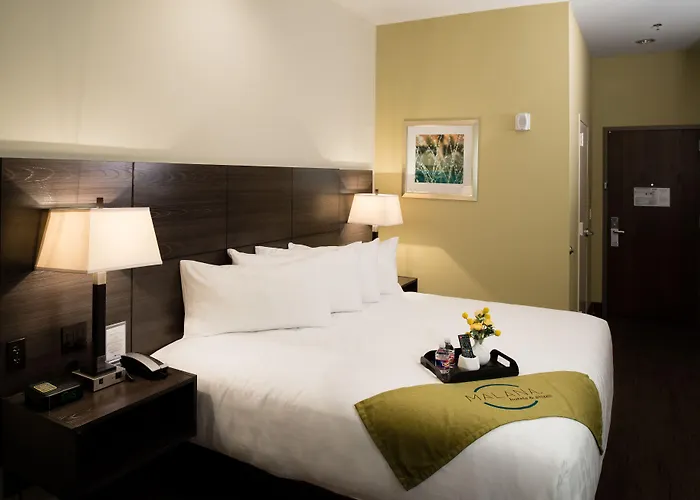 Malana Hotels & Suites