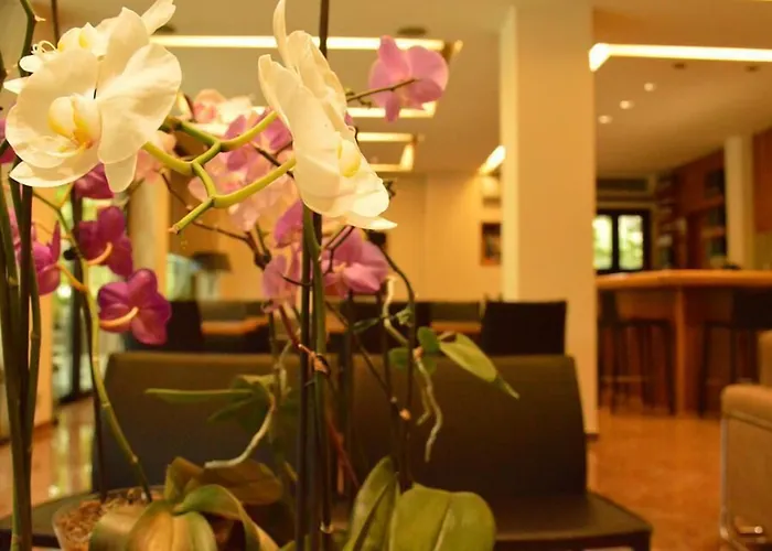 Alexakis Hotel & Spa