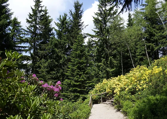 Pension Haus Saarland