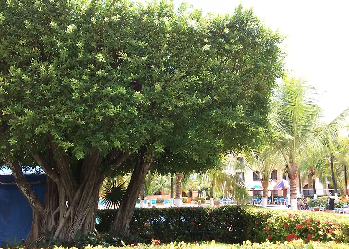 Cozumel Hotel & Resort