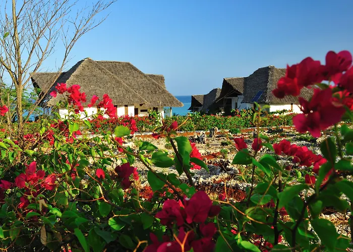 Kasha Boutique Hotel