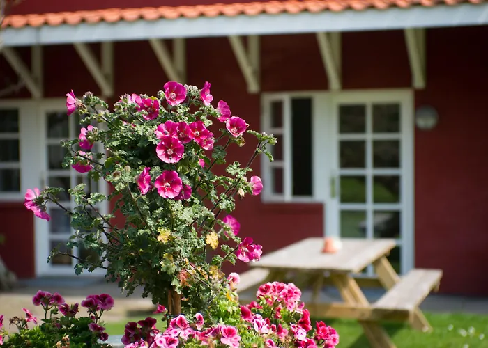 Hotel Allinge