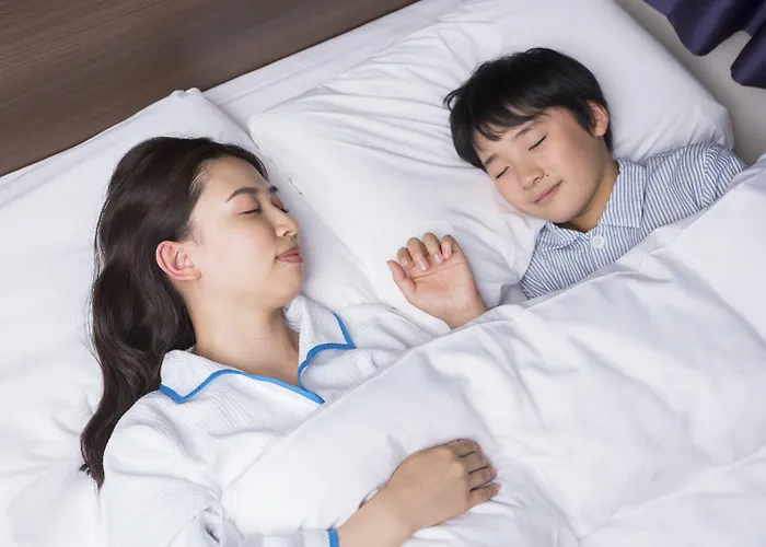 Comfort Inn Kofu Showa Inter