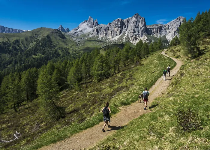 Fiori Dolomites Experience Hotel