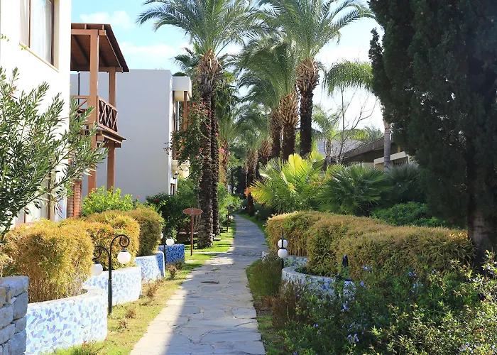 The Lifeco Bodrum Well-Being Detox Center And Vegan Hotel (Adults Only)