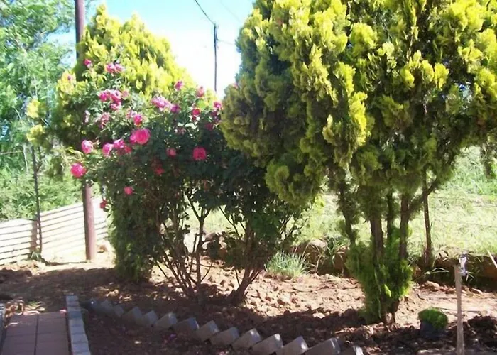 Aligeo Hotel