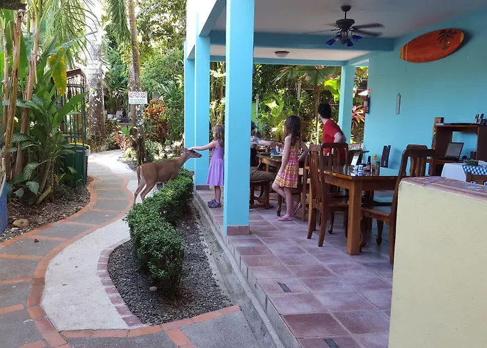 La Posada Jungle Hotel