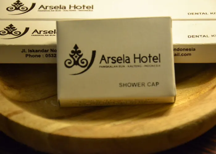 Arsela Hotel Pangkalan Bun