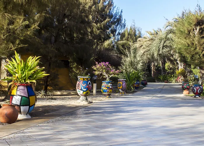 Diamarek Hotel Sur La Plage