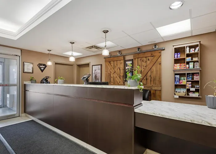 Best Western Plus Red Deer Inn & Suite