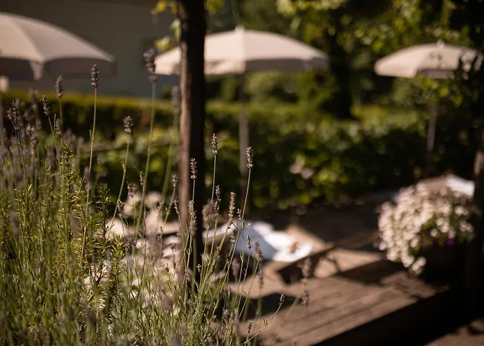 Vitalpina Hotel Schulerhof