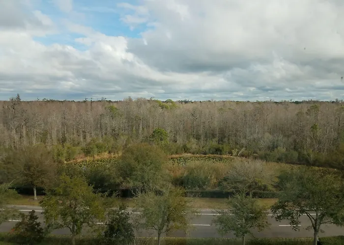 Hilton Garden Inn Tampa Suncoast Parkway