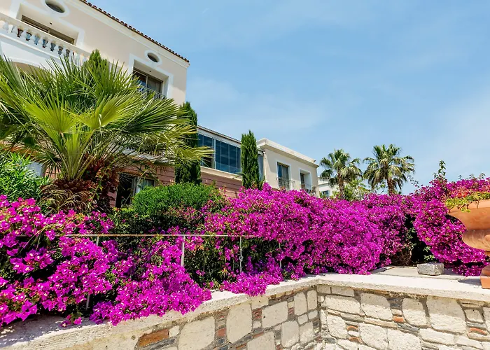 Antmare Hotel