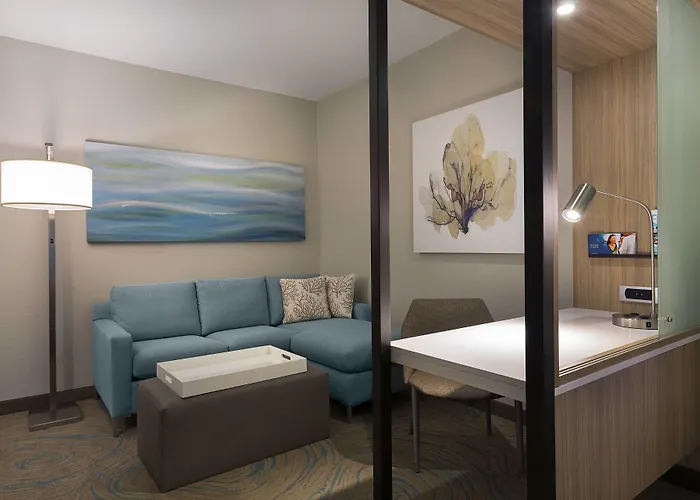 Springhill Suites By Marriott New Smyrna Beach