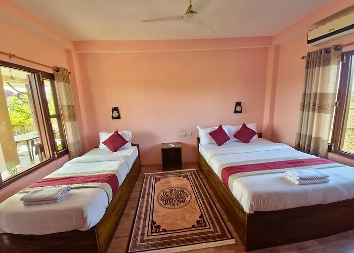 Hotel Tree Tops- A Serene Friendly Hotel In Sauraha