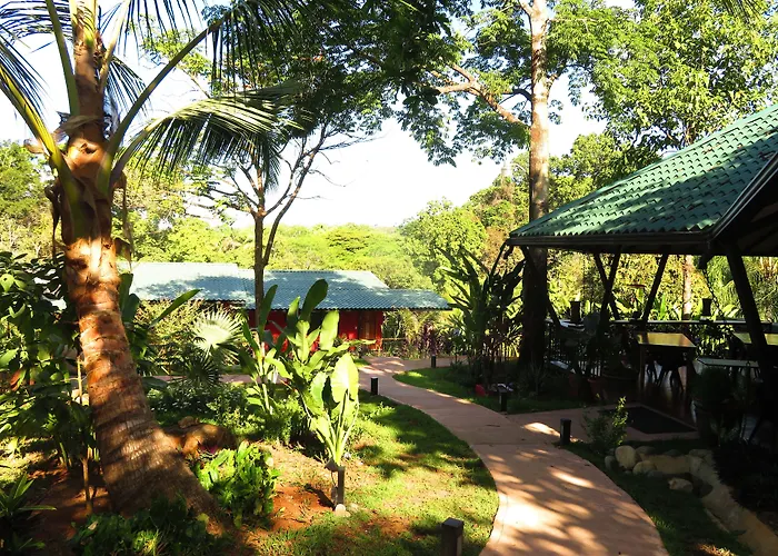 Oasis De Las Palmas