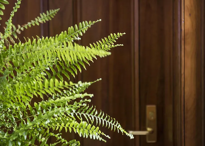 The Parkview Boutique Hotel
