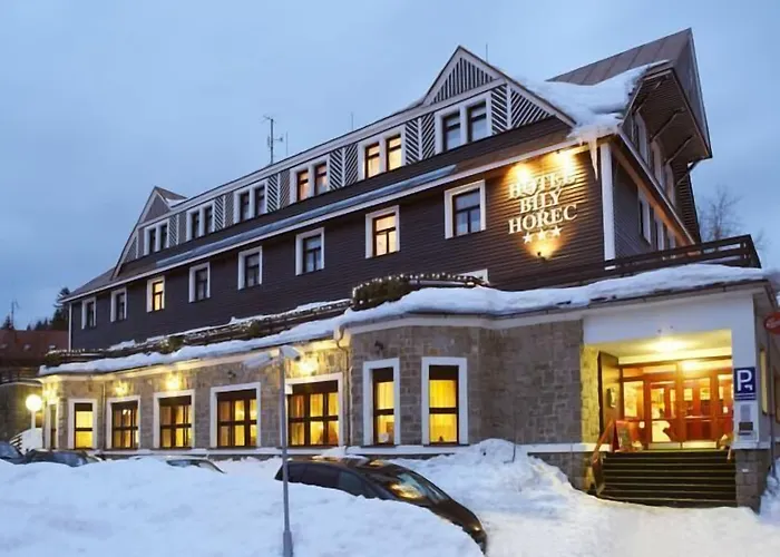 Spa Hotel Bily Horec