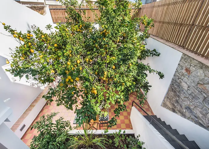 Lemon Tree Stay