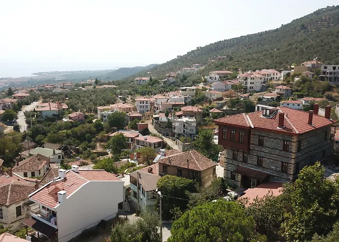 Altin Cesmeli Konak