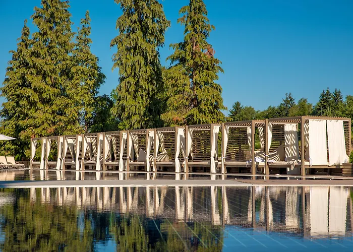 Hotel Arte SPA&Park