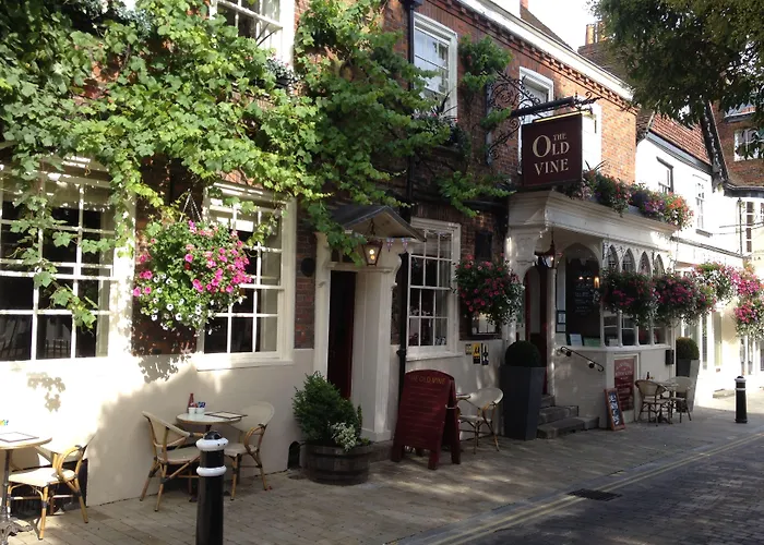 The Old Vine