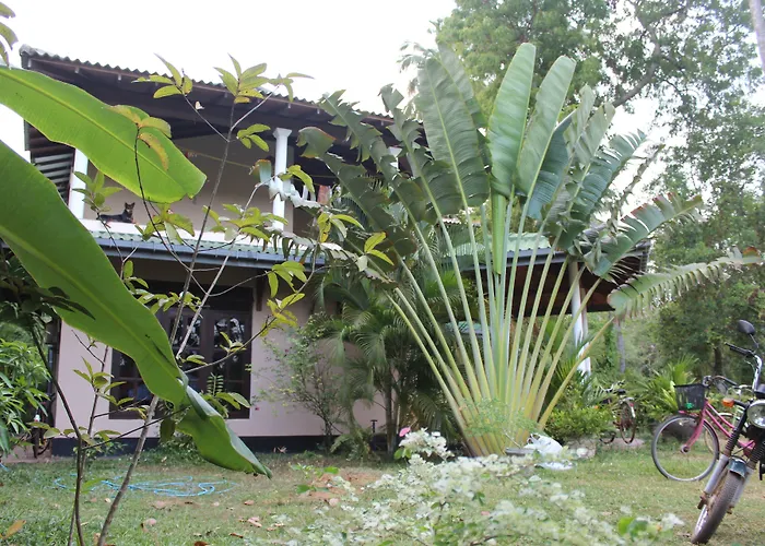 All View Resort