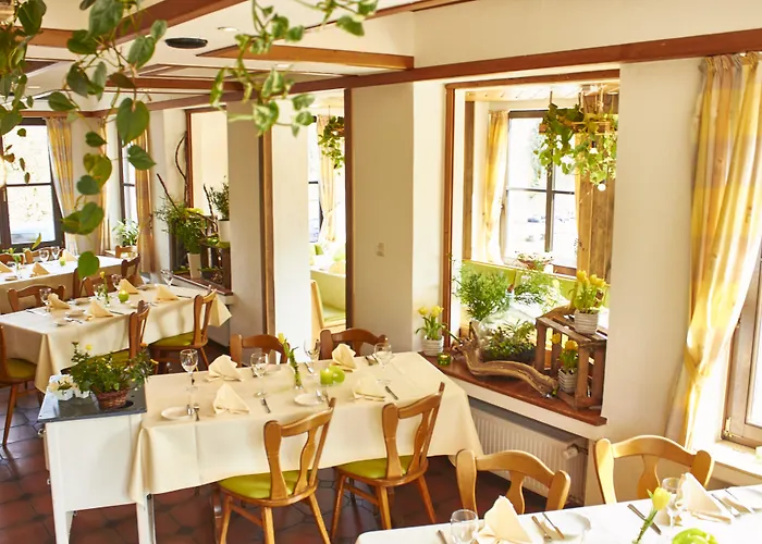 Steinbergs Wildewiese NaturHotel