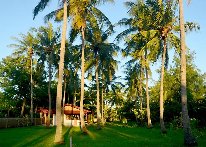 Amigos Bungalows Gili Meno