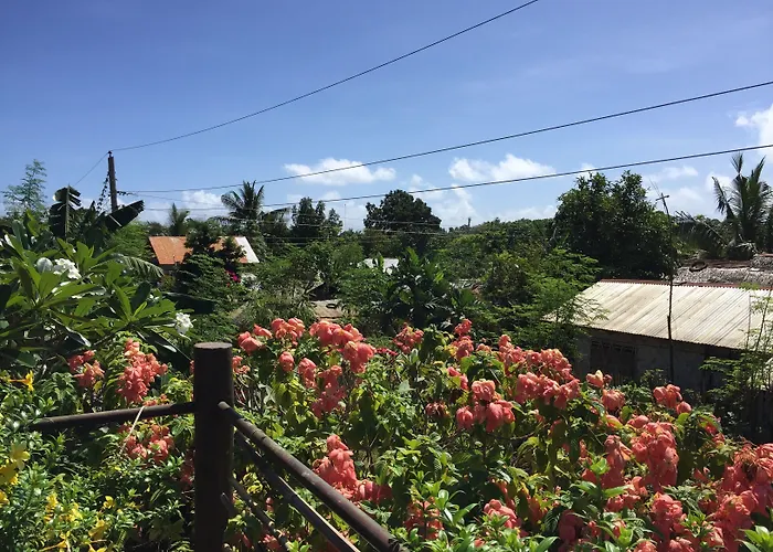 The Village House