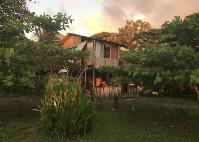 Miguel Surf Camp