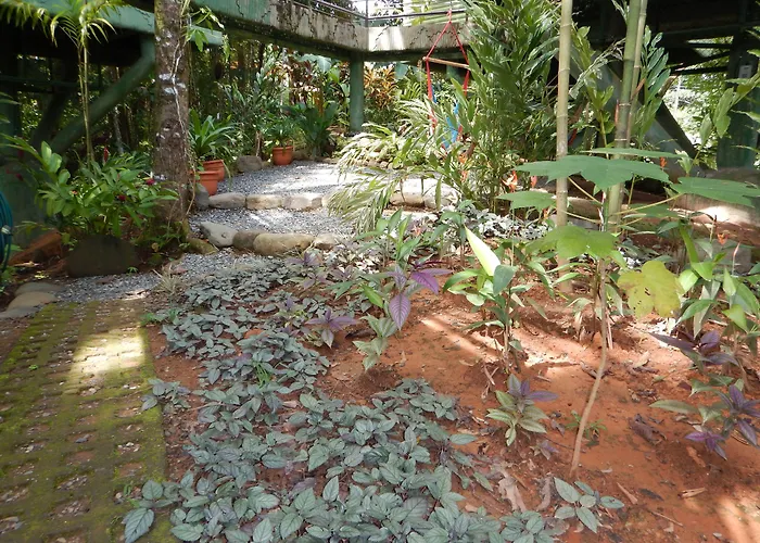 Arbol Verde Villas