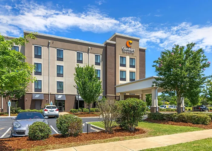 Comfort Inn & Suites At Crossplex Village