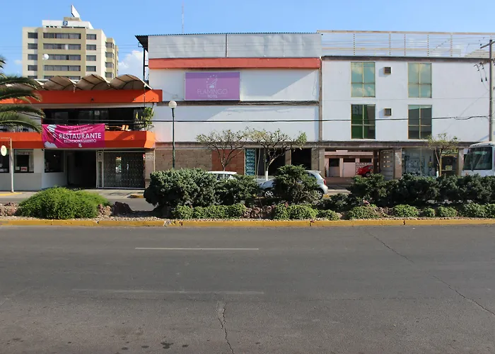 Hotel Flamingo Irapuato