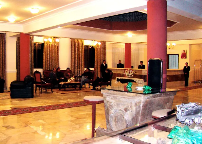 Hotel Coloso Potosi
