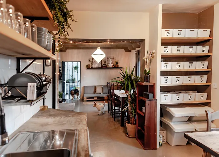 Wild House Tarifa