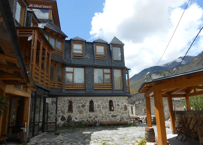 Hotel Old Seti