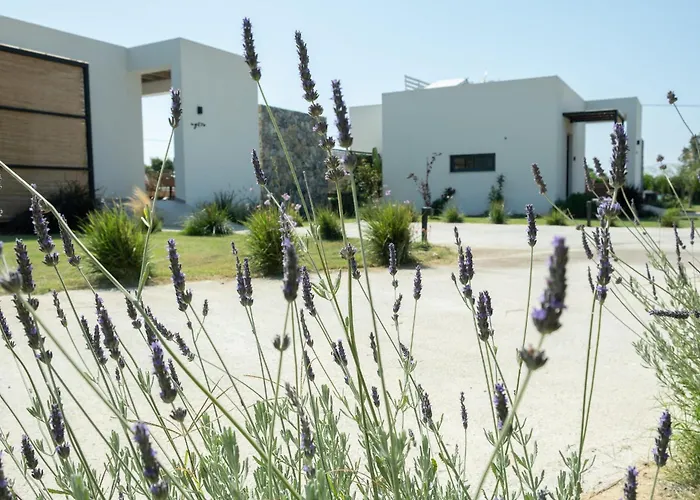 Aphrodite Luxury Villas & Suites-Private Heated Pool & Jacuzzi
