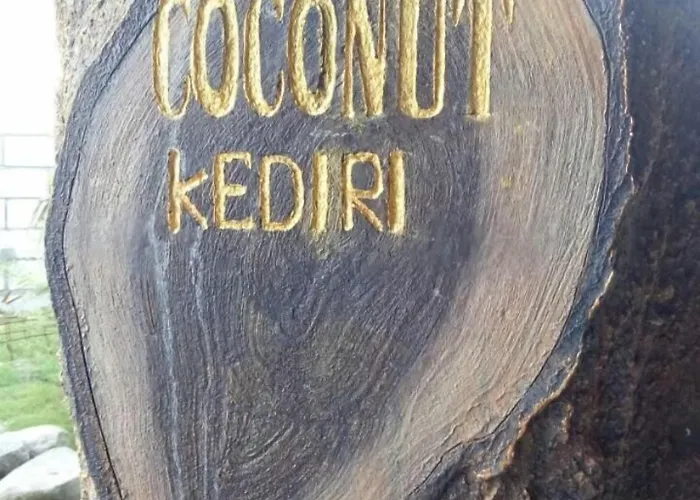 Coconut Hotel