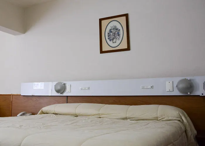 Hotel Menossi