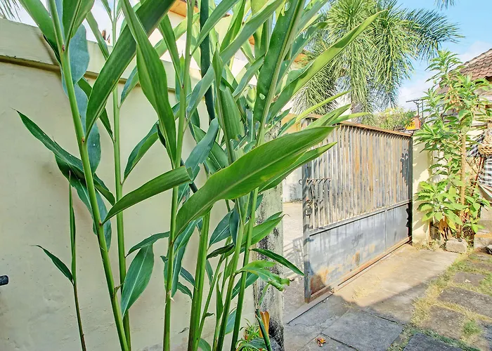 Oyo Life 92954 Shanti Kost