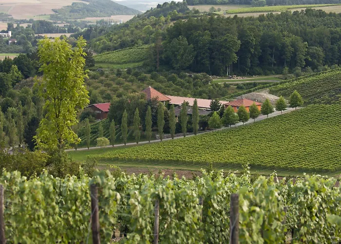 BENZ Weingut&Weinhotel